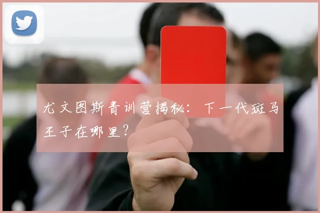 尤文图斯青训营揭秘：下一代斑马王子在哪里？