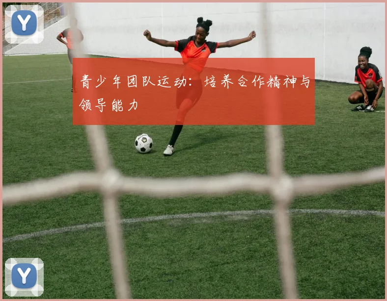 青少年团队运动：培养合作精神与领导能力